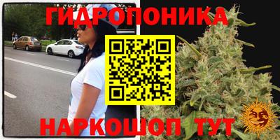 соль ск Рузаевка