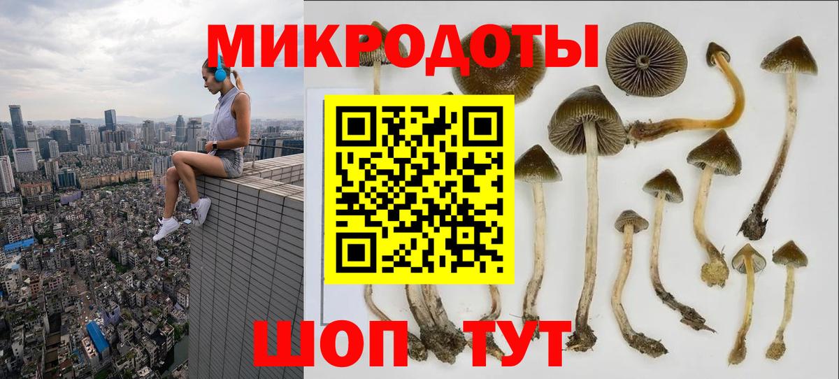 Пушкино  Галлюциногенные грибы Cubensis  Вход с VPN 
